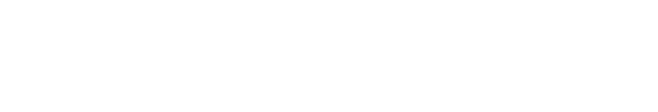 Evolution Digital Construction